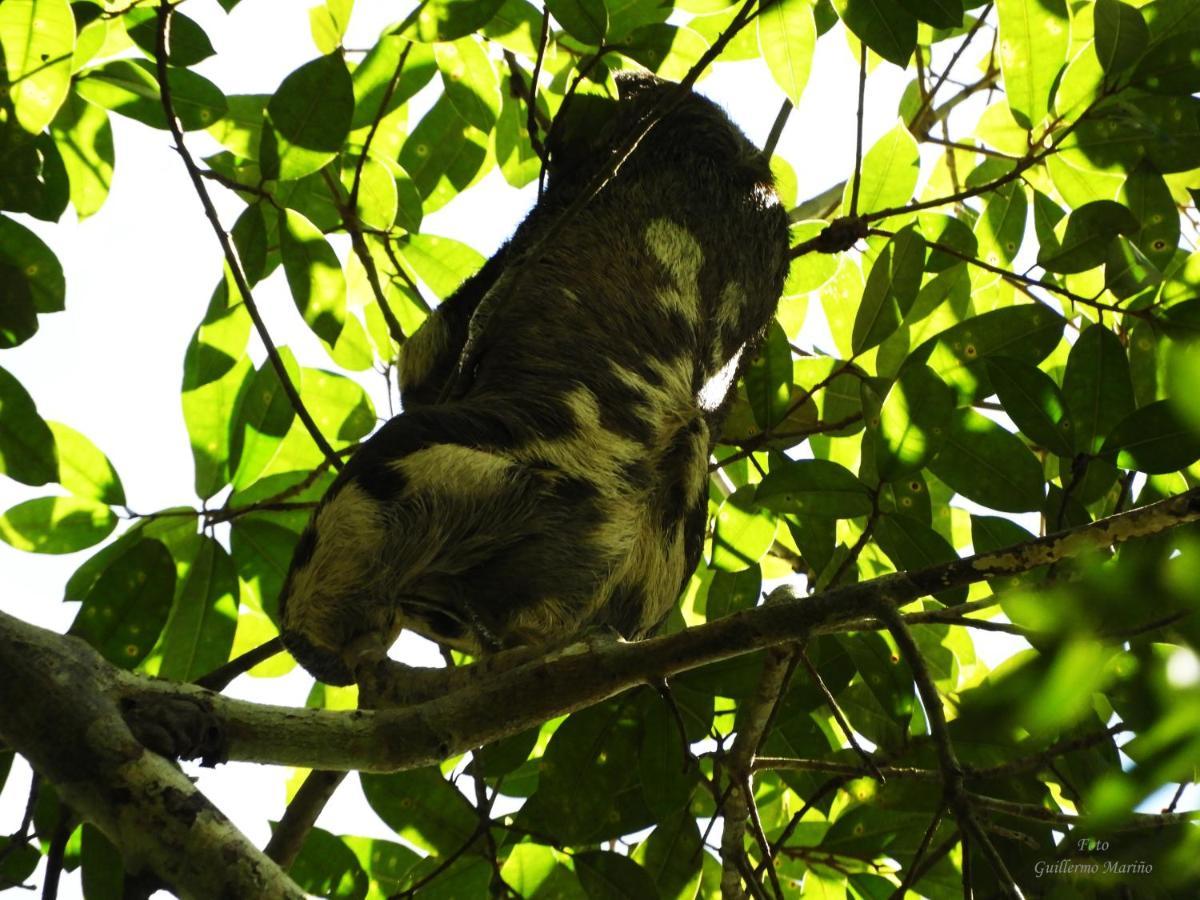 Villa Reserva Natural Natura Park à Puerto Nariño Extérieur photo