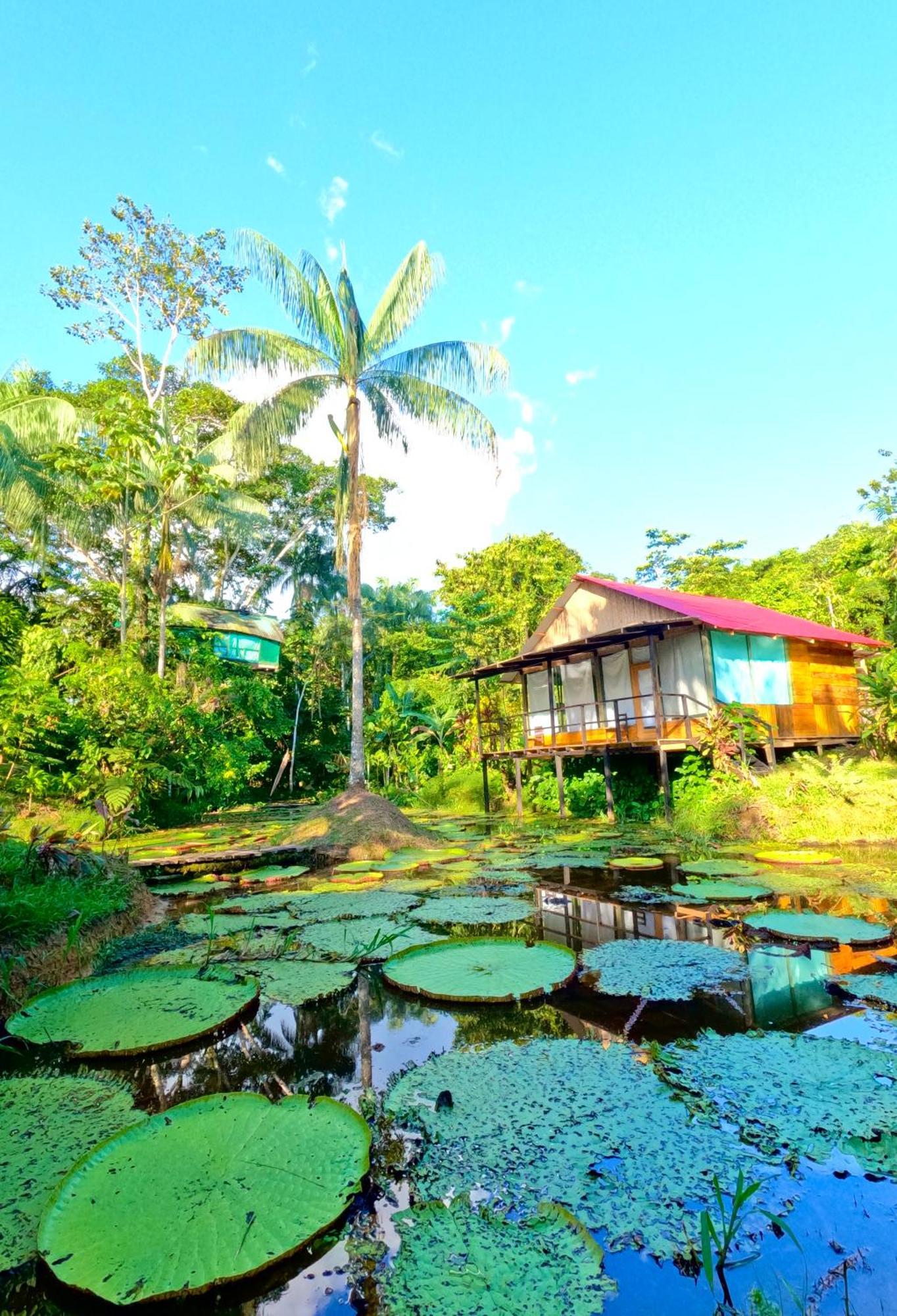 Villa Reserva Natural Natura Park à Puerto Nariño Extérieur photo