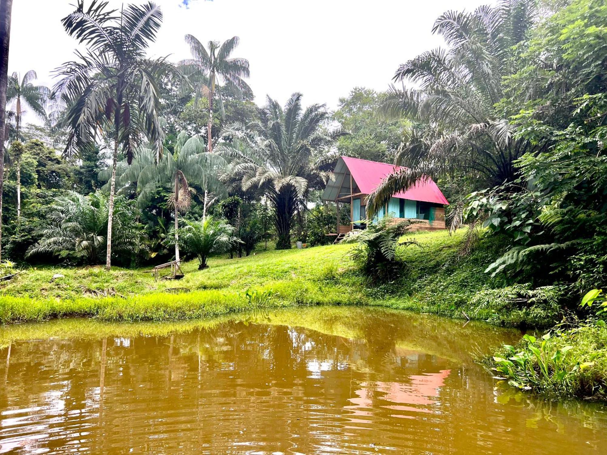 Villa Reserva Natural Natura Park à Puerto Nariño Extérieur photo