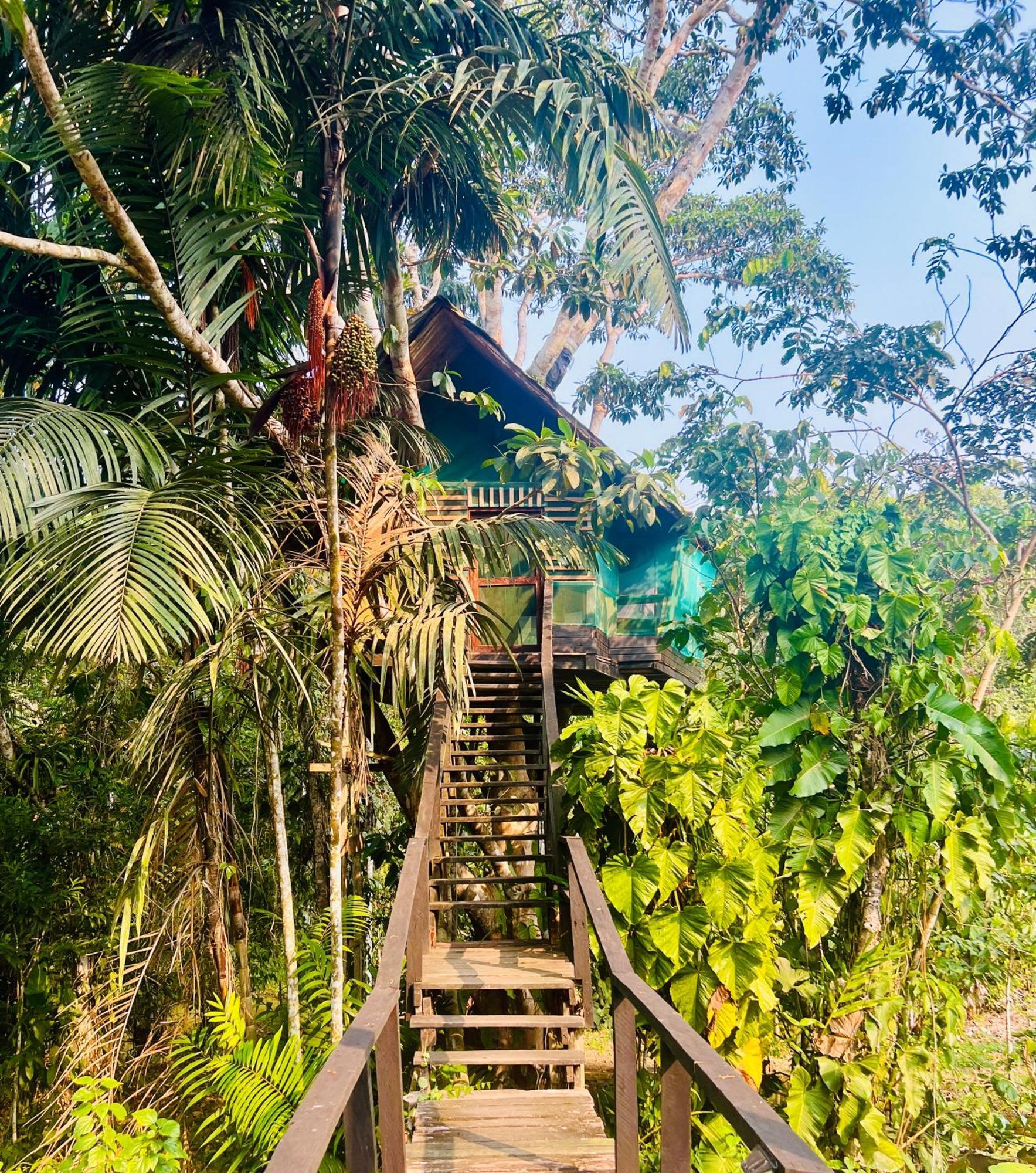 Villa Reserva Natural Natura Park à Puerto Nariño Extérieur photo