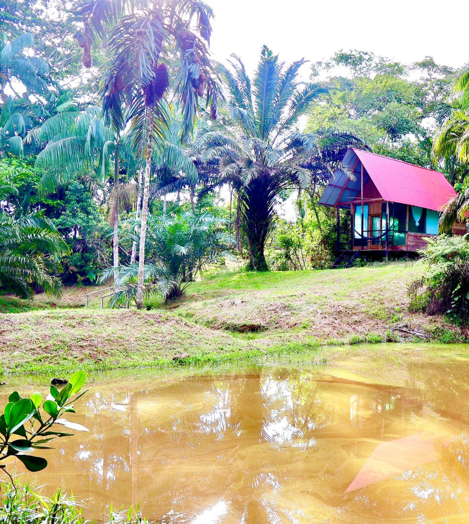 Reserva Natural Natura Park Puerto Nariño Extérieur photo
